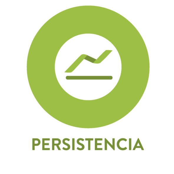 persistencia